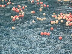 -龙达温泉生态城