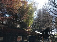 -瑞凤殿