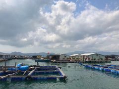 -西涌国际滨海旅游区