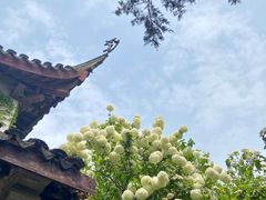 -惠山古镇·寄畅园