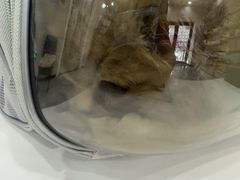 -宠颐生宠物医院·综合诊疗(先锋分院)