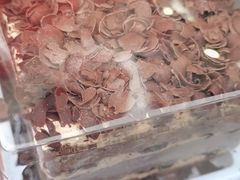 -爱达乐面包生日蛋糕(温江新尚天地店)