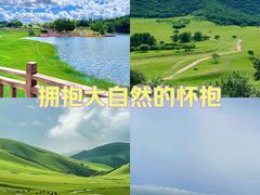-乌兰布统草原