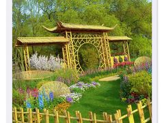 -上海共青森林公园