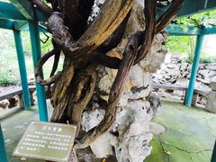 -无锡蠡湖国家湿地公园-蠡园