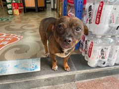 -求生煎包(武夷小区店)