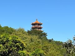 -深圳仙湖植物园