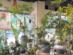 -弗劳尔花艺坊(龙涛店)