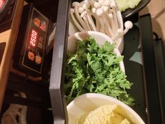-掂档潮汕牛肉火锅(沈阳万象城店)