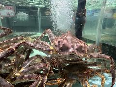 -万龙洲海鲜(大兴绿地缤纷城店)