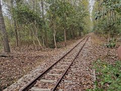 -合肥滨湖国家森林公园