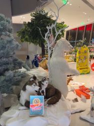 -IMON·HANSA潮玩玩偶毛绒玩具(通州万象汇店)