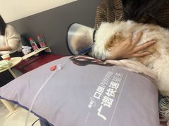 -御宝贝24h宠物医院·转诊中心·CT核磁血透中心(厦门总院)
