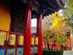 -西安市广仁寺