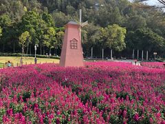 -顺峰山公园