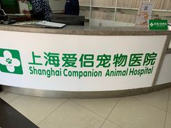 -爱侣宠医·鹦鹉专科·小型哺乳类·异宠专科(灵石路店)