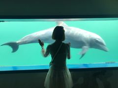 -北戴河圣蓝海洋公园