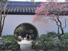 -岳王庙