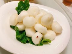 乐昌马蹄-廣順興(兴华路店)