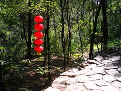 景点-井塘古村