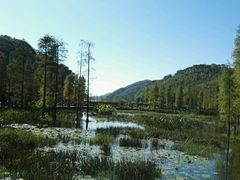-广州市石门国家森林公园
