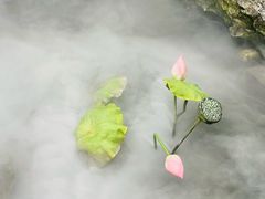 -蟹村草堂·苏式园林人文农家·大闸蟹