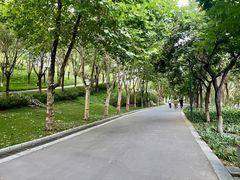 -河北省园博园