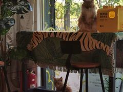 -平行世界·猫咖(首经贸店)