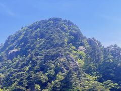 -九华山风景区
