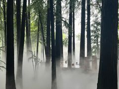 -东湖落雁景区