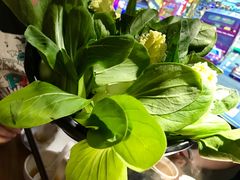 -捞围鲜·港式打边炉(海阳路店)