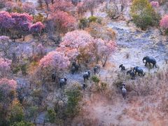 -罗红摄影艺术馆