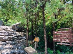 -阳台山自然风景区