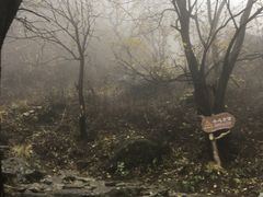 -阳台山自然风景区