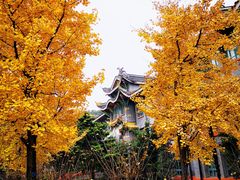 -四川大学(华西校区)