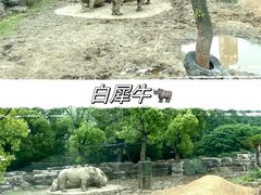 -上海野生动物园