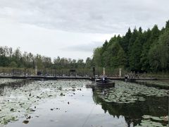 -溱湖国家湿地公园