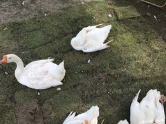 -宝山日月光中心