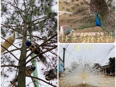 -鄱阳湖国家湿地公园