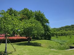 -宜兴龙背山森林公园