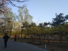 -望湖公园