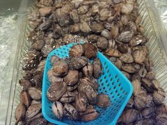 -百伦百货(简阳店)