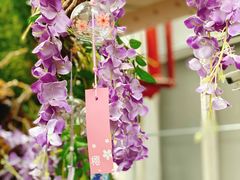 -正佳雨林生态植物园