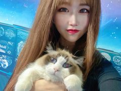 -零纪元VR体验馆·桌游(黄浦店)