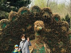 -长白岛森林公园