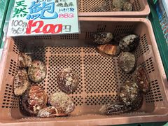 -南纪白浜Toretore市场