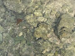 -三亚西岛海洋文化旅游区