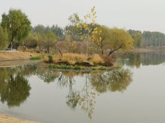 -东郊湿地公园