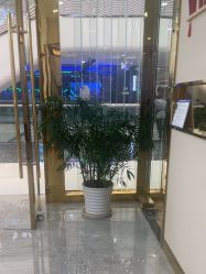 -CICI纤美·科技减肥美容