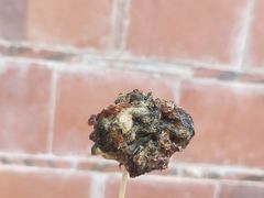 炸紫菜-美美阿姨醋肉(县后路店)